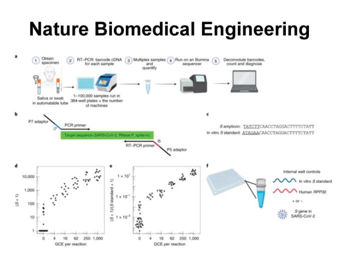 Massively scaled-up testing for SARS-CoV-2 RNA 