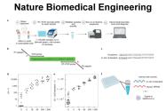 Massively scaled-up testing for SARS-CoV-2 RNA 